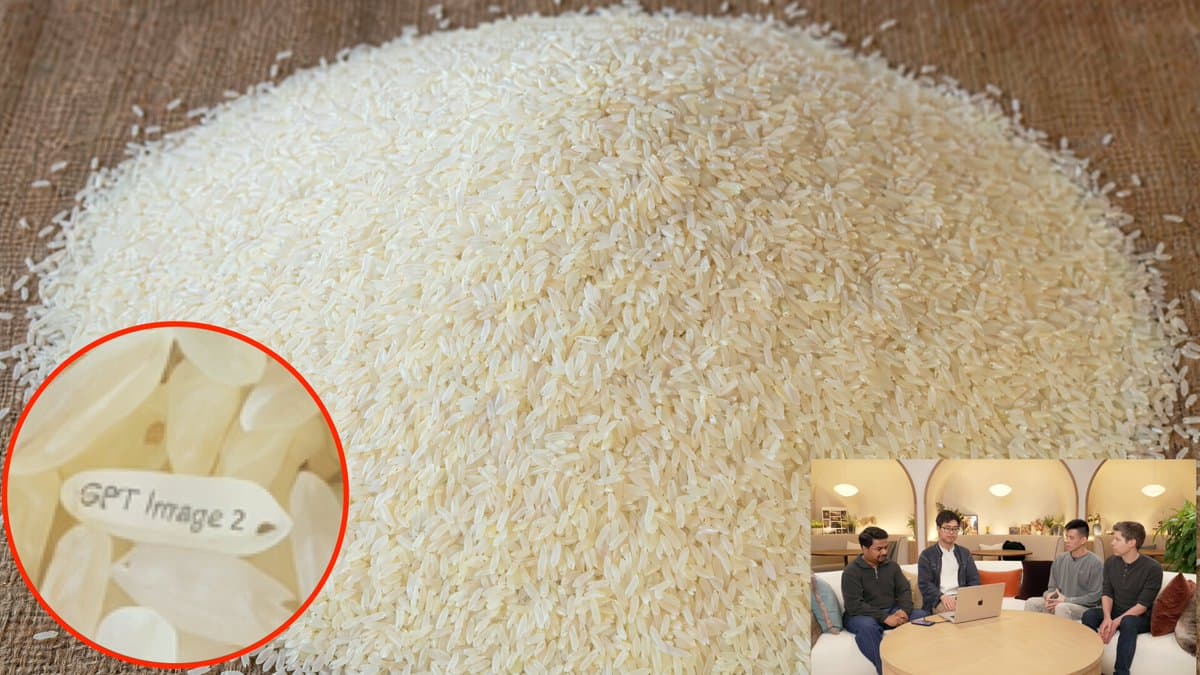 Macro Rice Pile with Hidden Engraved Grain — Sora 2 Prompt
