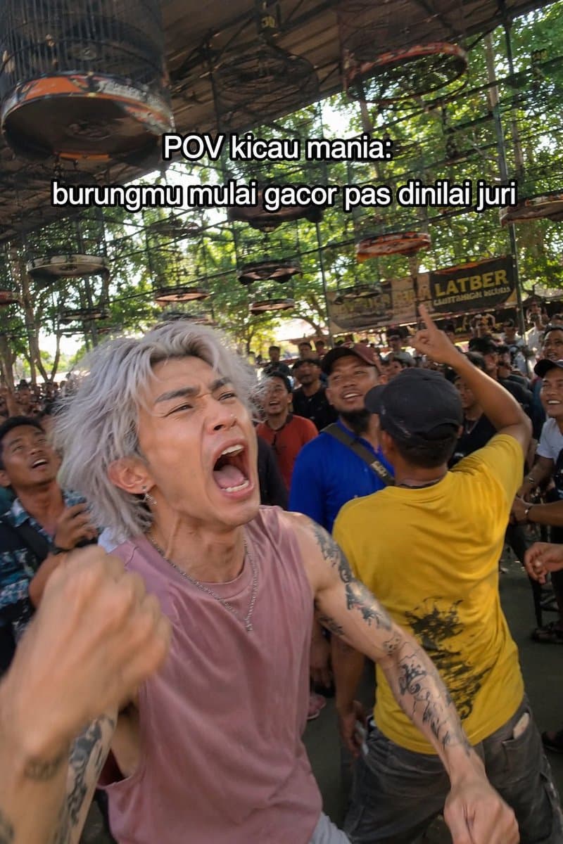 Indonesian Bird Contest Meme — Low-Quality Phone Photo